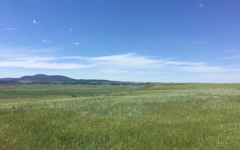 Vast, rolling rangeland near the Black Hills of South Dakota.