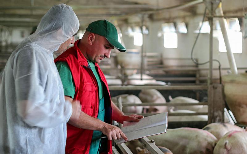 Concentrated Animal Feeding Operations SDSU Extension