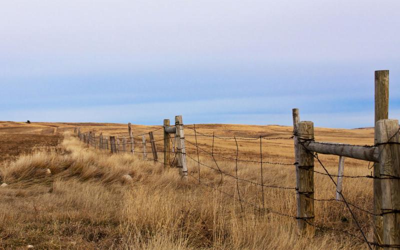 Fence line along a broad, open pasture.