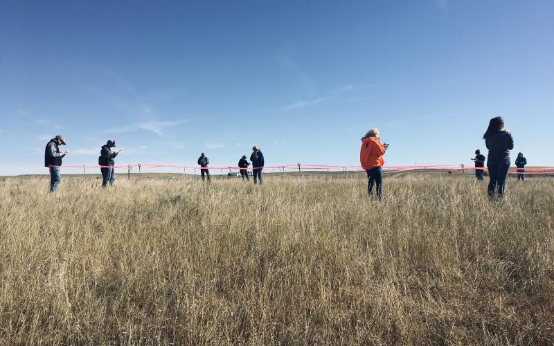 a group of people in a grassy pasture