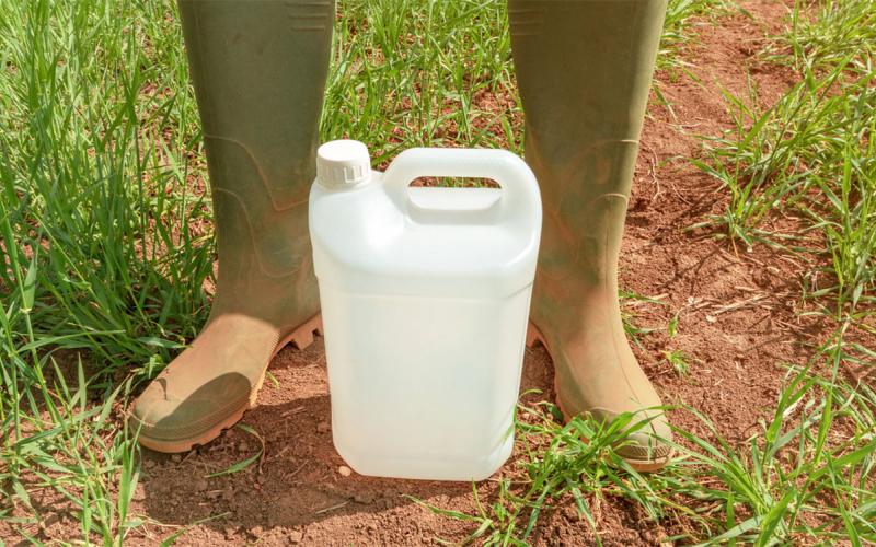 Farmer standing over insecticide jug in wheatgrass field