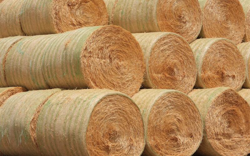 Stacked, round hay bales.