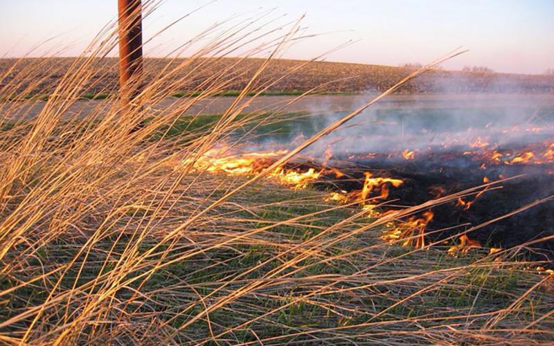 Prescribed burn taking place in a pasture.