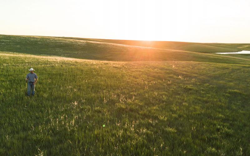 Rancher standing in a vast, rolling grassland.