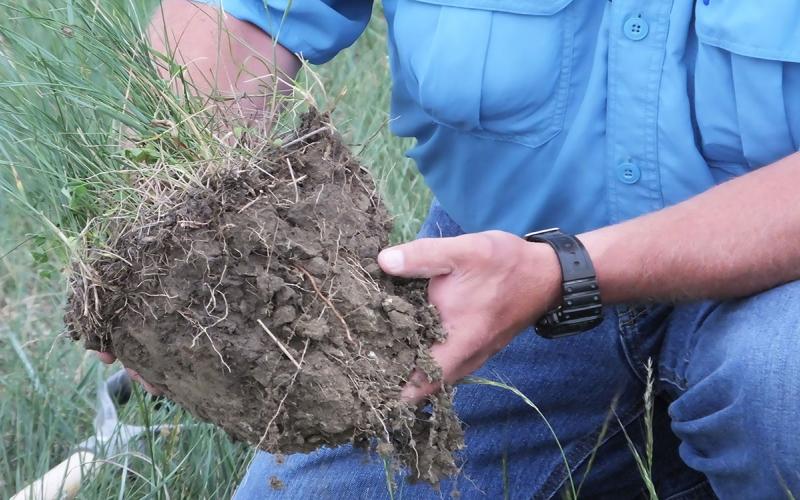 Producer holding a clump of healthy, plant-rich soil.