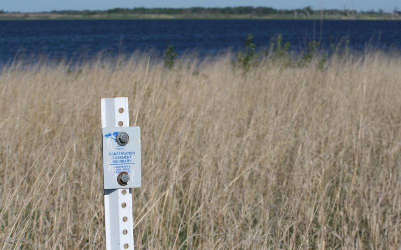 Marker indicating the boundary of conservation easement area.