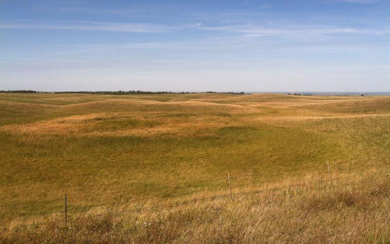 A vast, rolling grassland area.