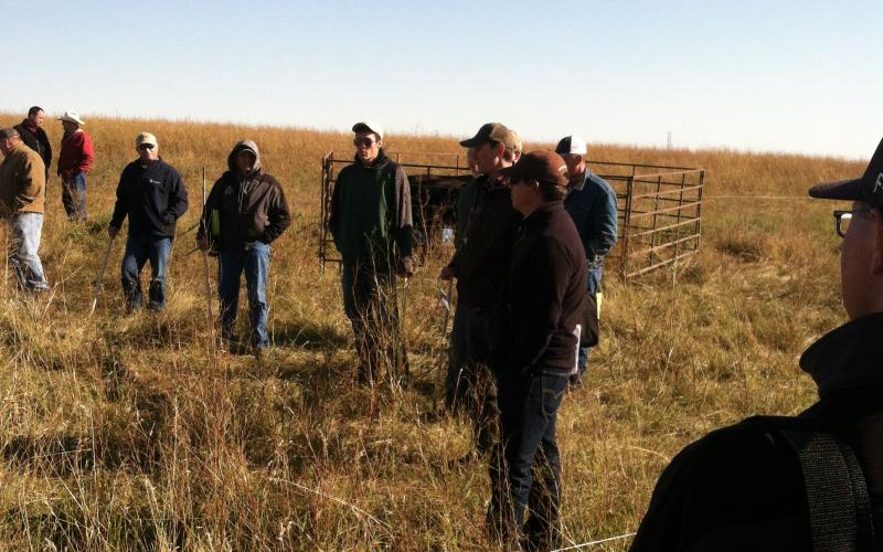 a group of people standing in a grassy field