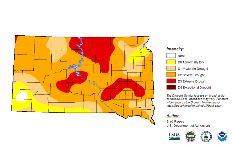 Color-coded drought monitor map of South Dakota. As of July 27, north-central South Dakota is facing extreme drought, while the rest of the state is under abnormally dry to severe drought conditions. A small portion of the southwest has adequate moisture.