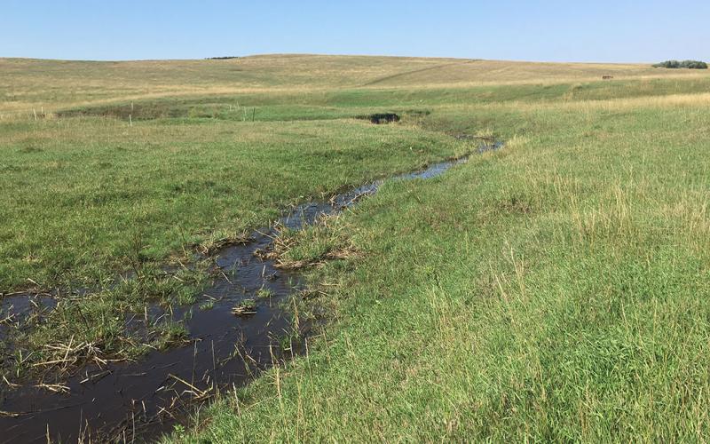 Rolling, drought-stressed pasture with new, green growth emerging in early fall.