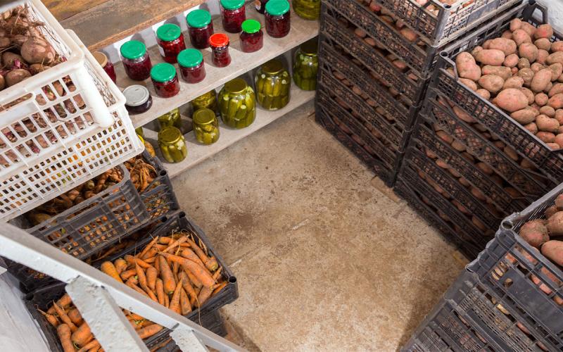 Fresh potatoes, carrots and canned vegetables in the cellar.