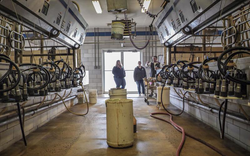 Small group of employees inspecting a milking parlor.