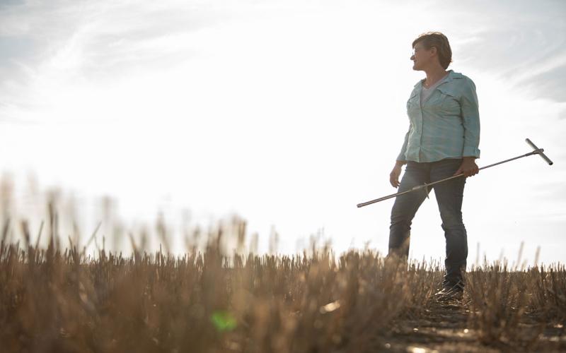 Female producer holding a soil core sampling probe in a harvested soybean field.