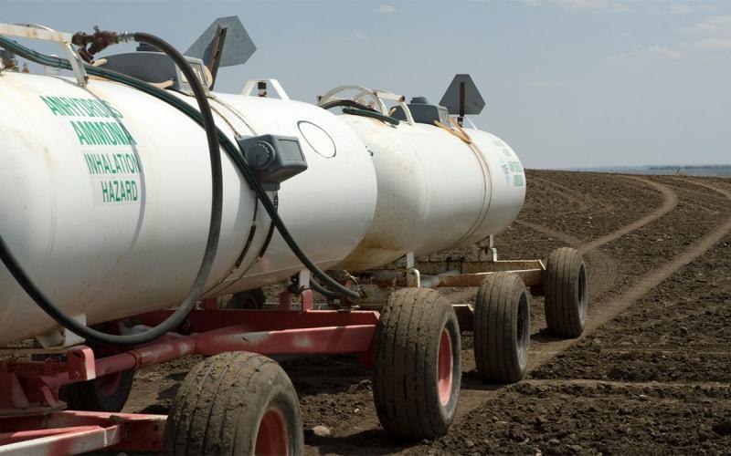 Tanks of anhydrous ammonia being pulled to a field for fertilizer application.