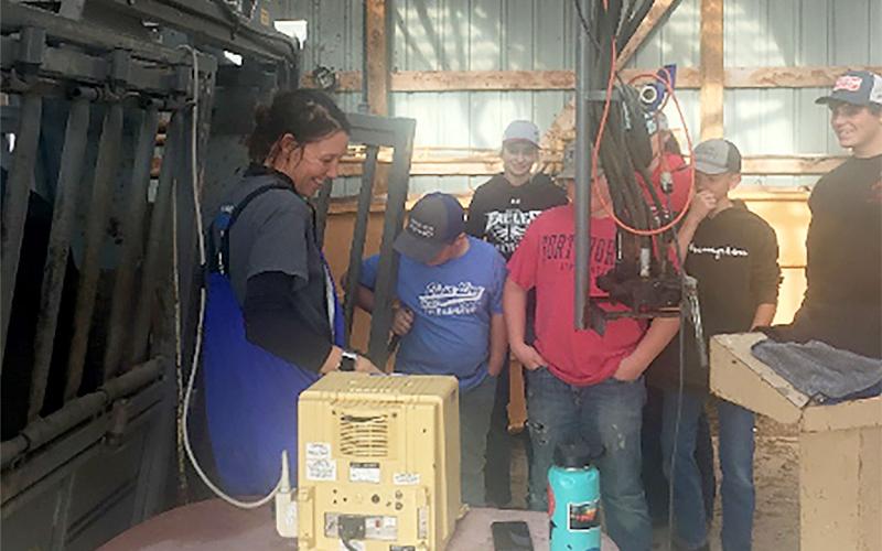 Olivia Amundson, SDSU Extension Cow/ Calf Specialist, demonstrating an ultrasound machine to a group of 4-H youth.