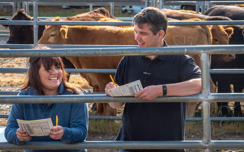 Two ranchers participating in beef quality assurance training at a cattle facility.