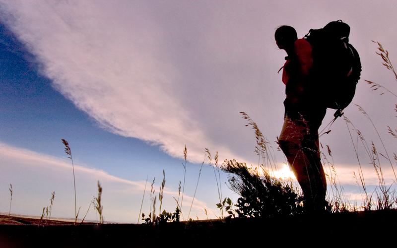 Young man with a backpack hiking through a park.