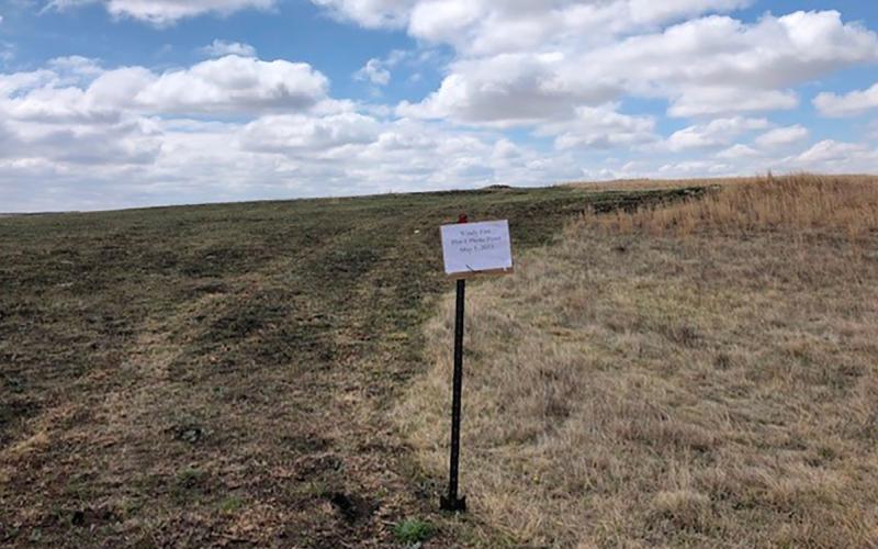 Photo showing a wildfire recovery on native rangelands.