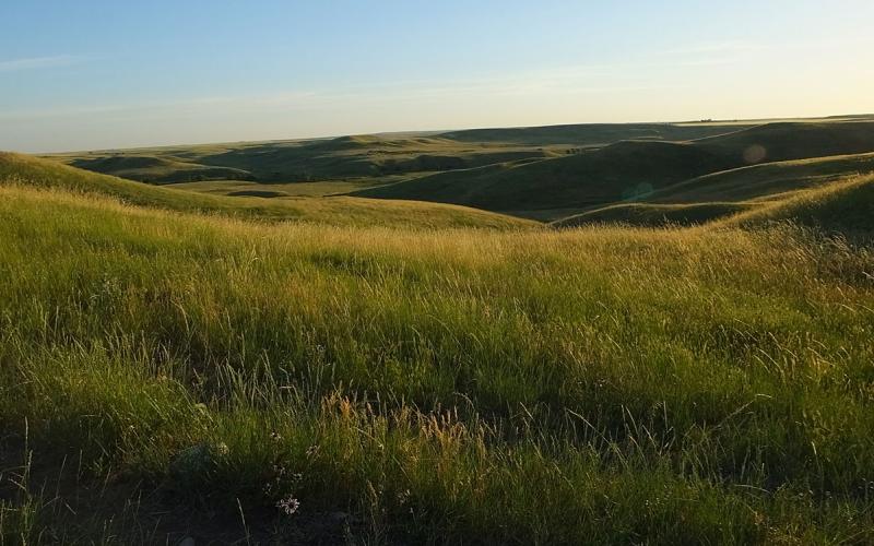 A vast, rolling, well-managed rangeland.