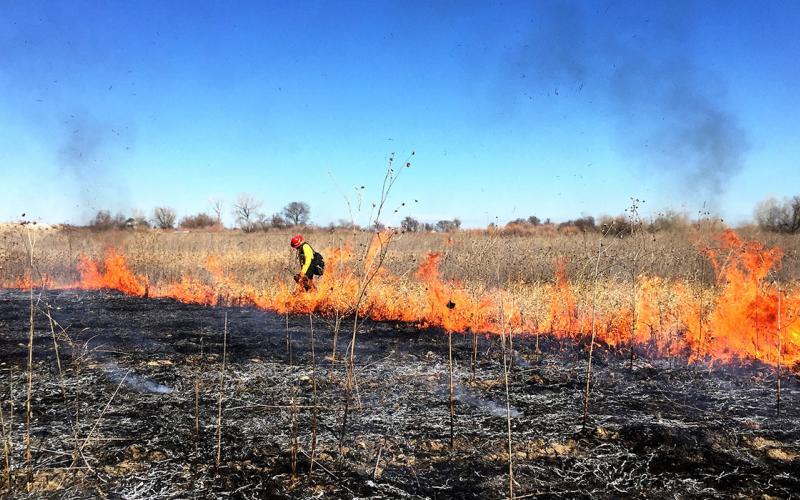 A prescribed burning taking place in a field.