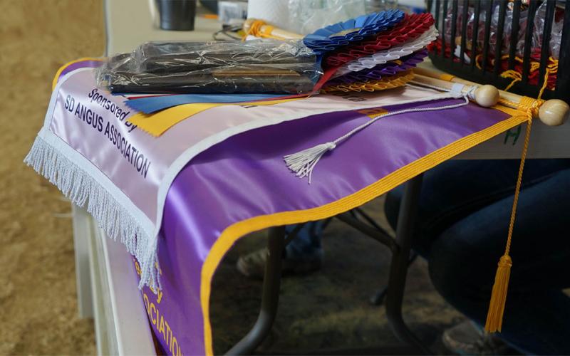 4-H ribbons and awards stacked on a table.