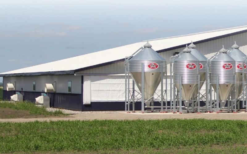 SDSU off-site wean-to-finish production barn.