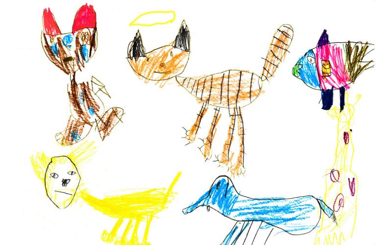 A child’s crayon drawing of various pets.