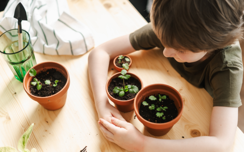 Child with potted plants