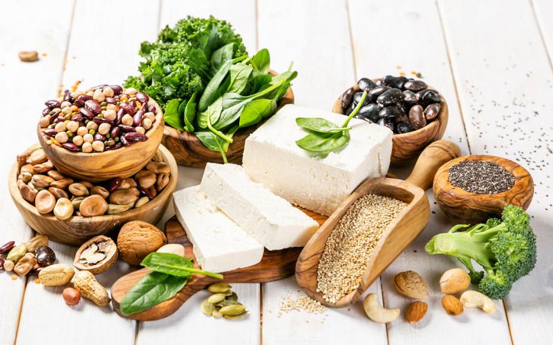 Variety of plant-based protein sources.