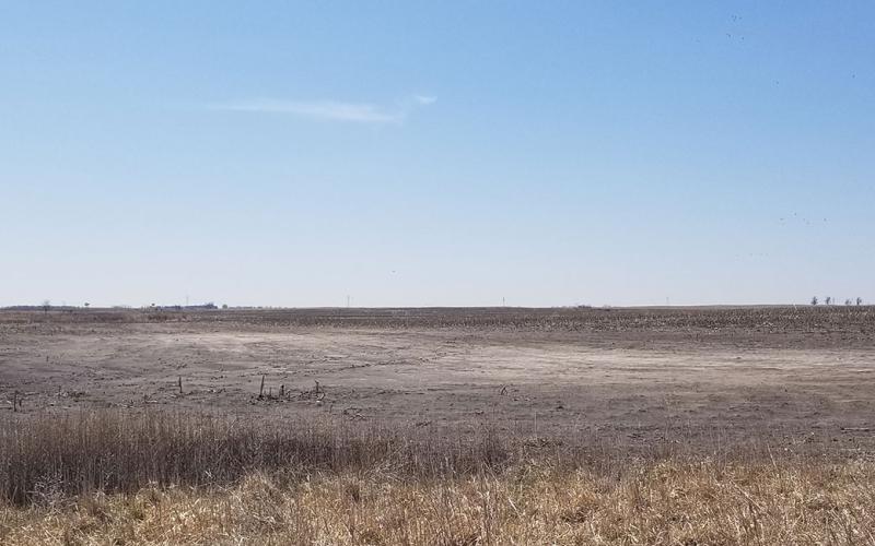 Bare field with visible salt buildup on soil surface.