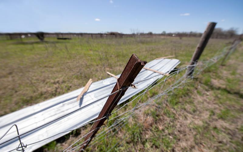 Storm debris in a pasture.