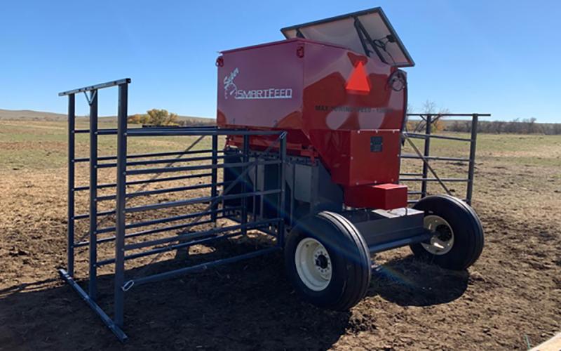 A Super SmartFeed Producer at the SDSU Cottonwood Field Station.