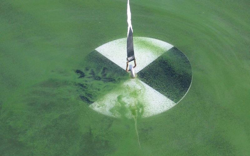 Secchi disk being used to measure lake transparency.