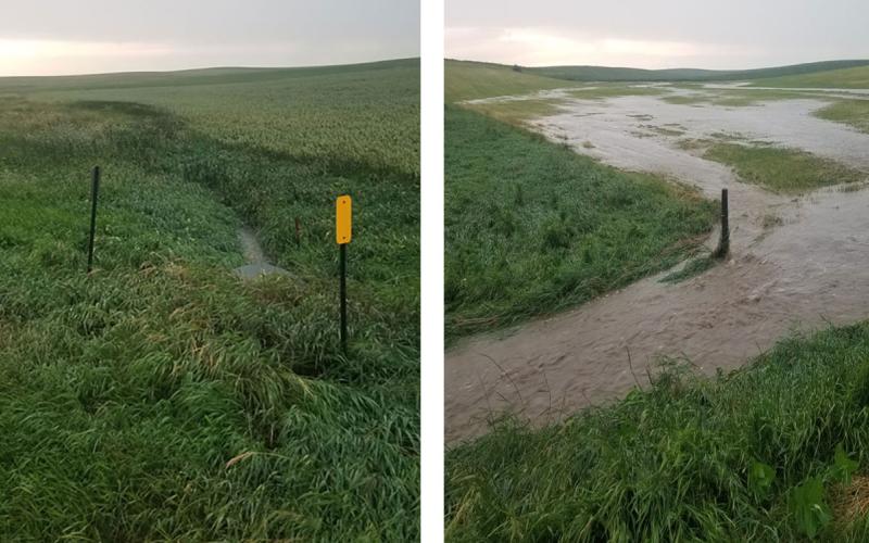 A no-till and conventionally managed watershed side-by-side. The no-till field has dramatically less flooding and runoff.