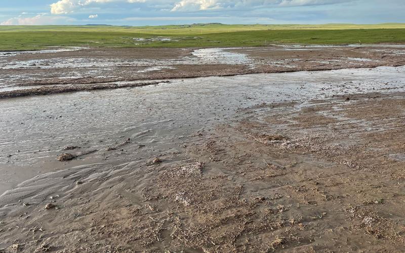 Muddy field with no residual forage exhibiting signs of extreme soil erosion.