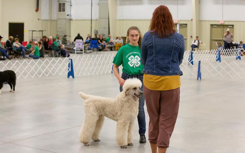 4-H youth being talking with judge during dog show