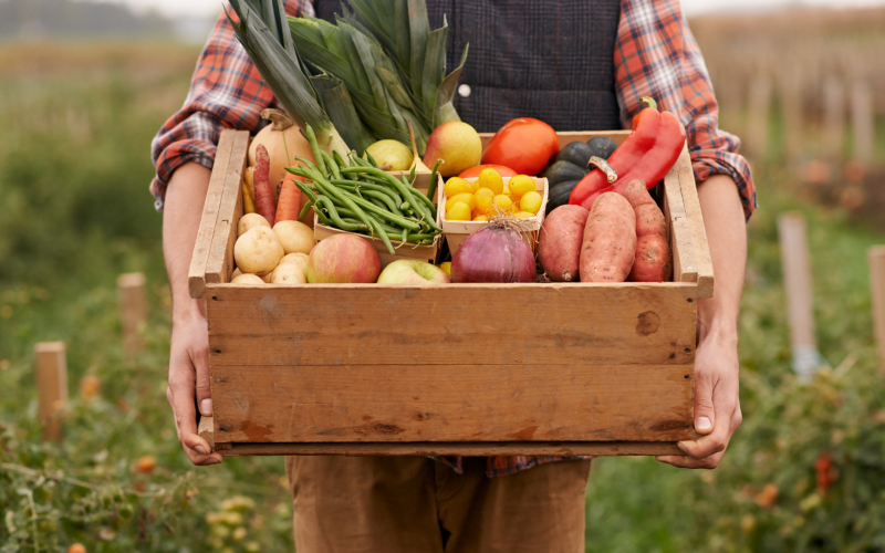 Gardener holding a box of vegetables