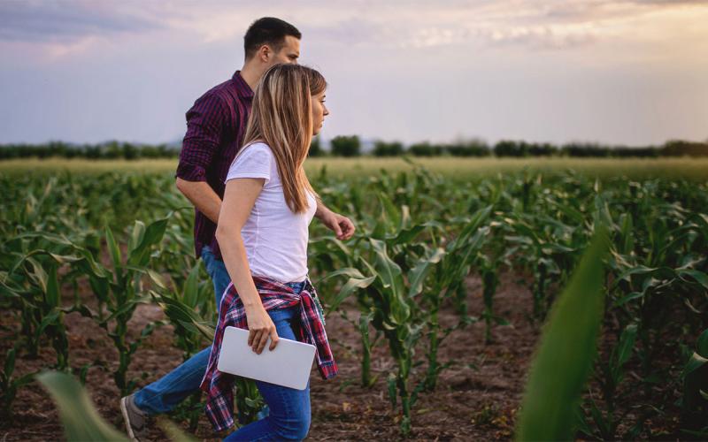 Agriculture students touring a corn farm.