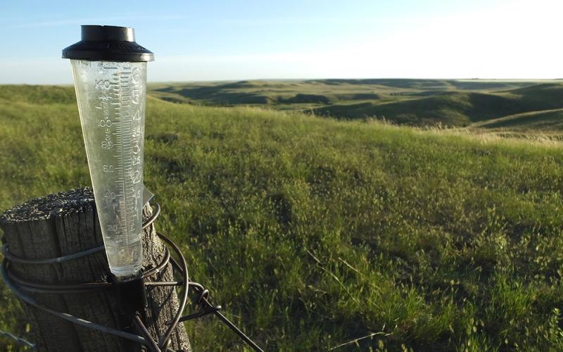 Rain gauge on a fence post along a well-managed rangeland area.