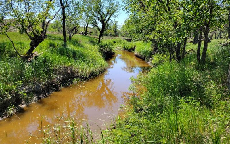 Cottonwood Creek on the SDSU Cottonwood Field Station.