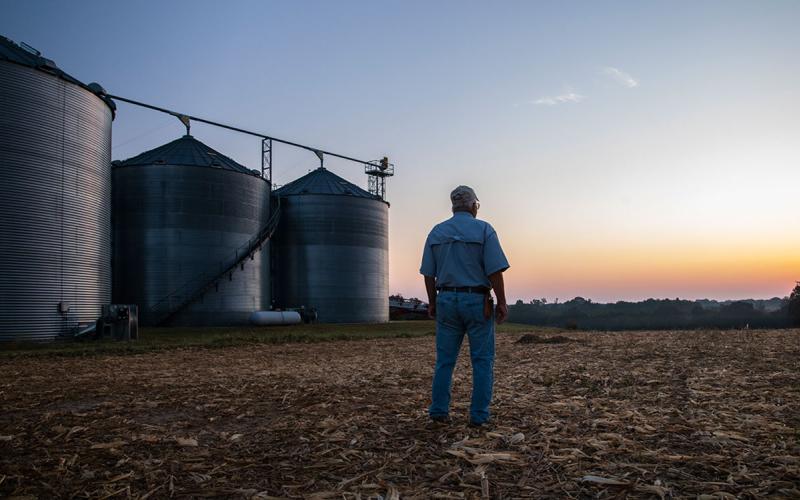 Farmer observing no-till field at sunset.