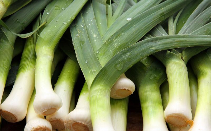 Harvested leeks.
