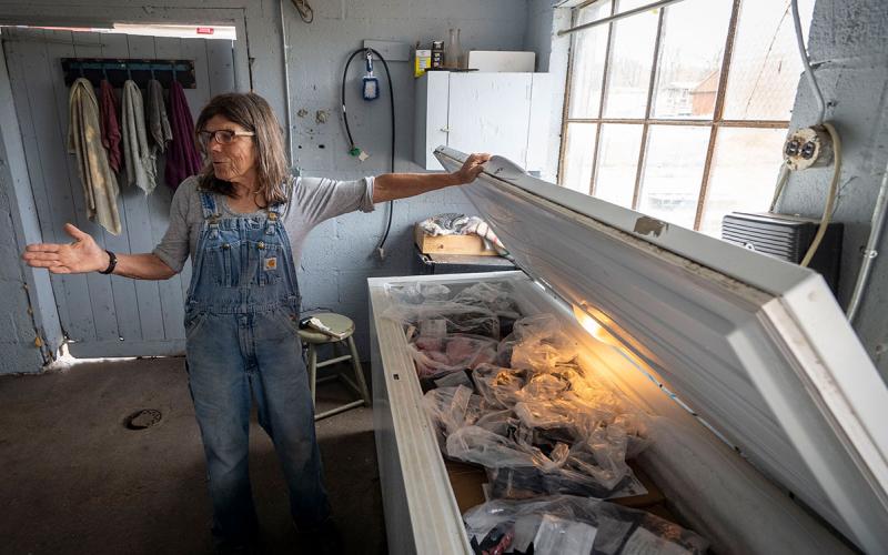 Producer presenting frozen lamb meat products in a deep freezer.