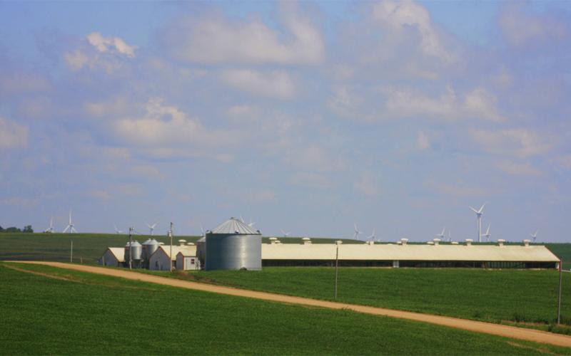 Two hog barns among rolling green fields in the countryside.
