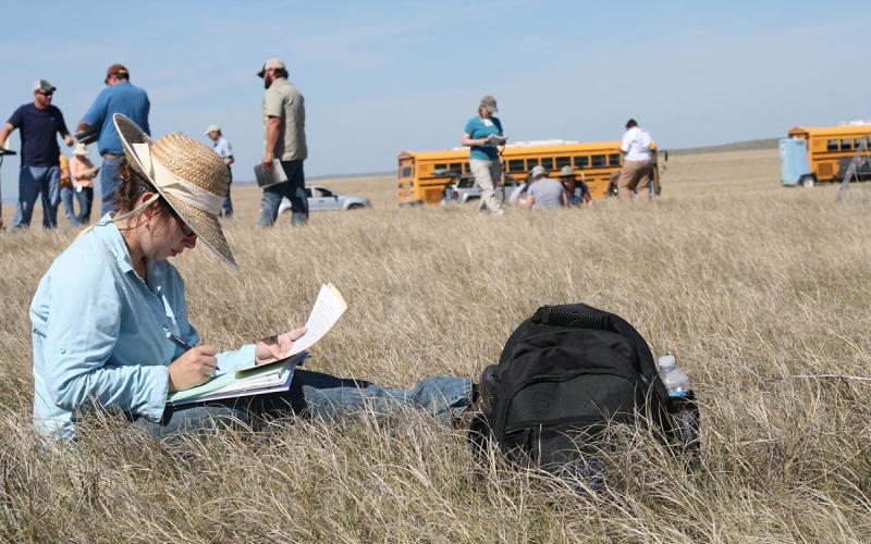A woman sits in a grassland with a clipboard making notes. More people with notes and buses are in the background.
