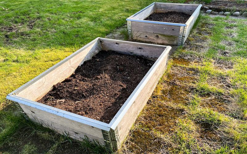 Two raised beds in a garden plot.