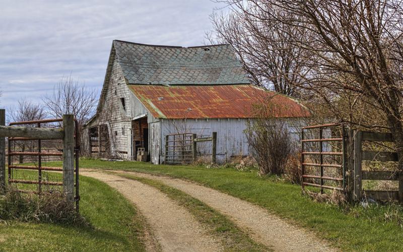 Rusty shed in a farmyard.