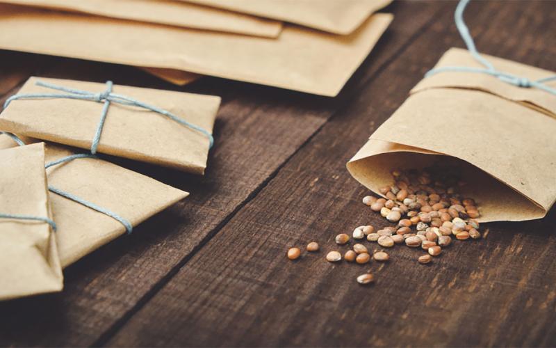 Paper bags with saved garden seeds for planting.