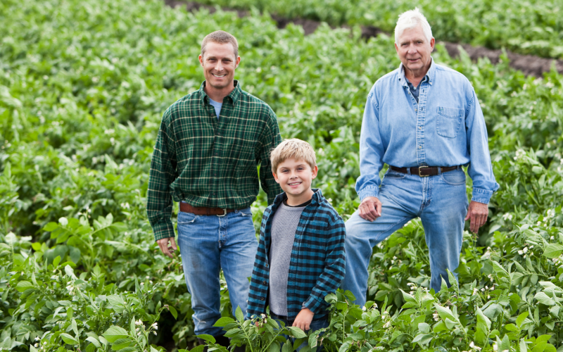 Three generations of a family farm standing in a field