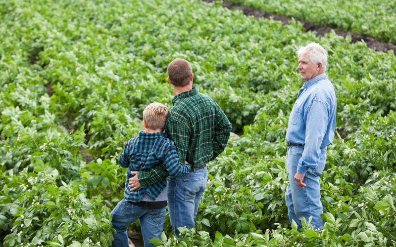 Three generations of a family looking out at a field